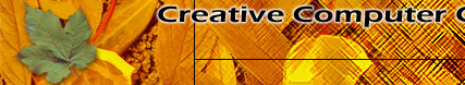 Creative Computer Consulting Canada creating professional websites