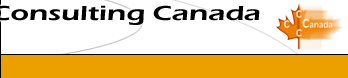 Creative Computer Consulting Canada designing websites