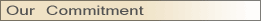 Our Commitment